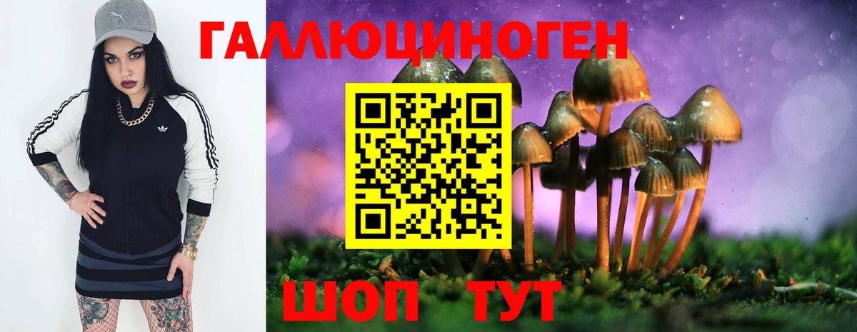 Псилоцибиновые грибы мухоморы  Псилоцибиновые грибы MAGIC MUSHROOMS  Вход с VPN  Владикавказ 